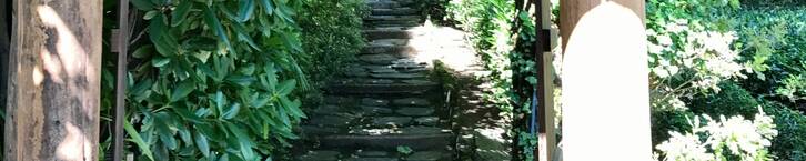 Gruppencoaching für Frauen per Zoom