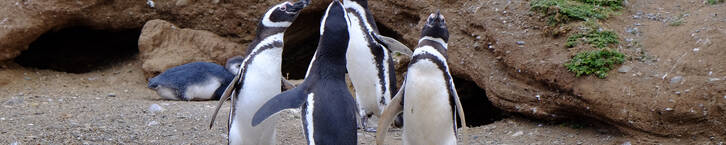 In der Gruppe im Dialog sein...